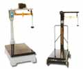 loose weight platforms